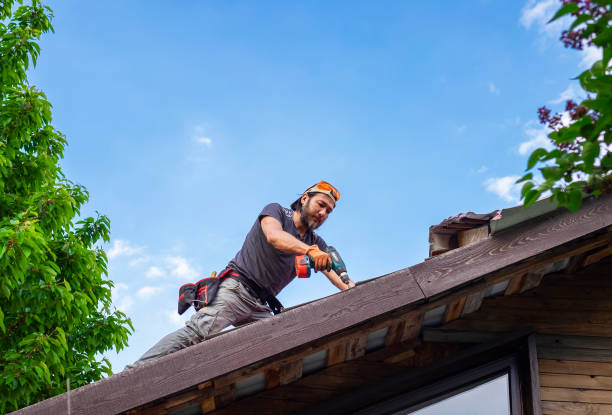 Best Roofing for New Construction  in Cold Spring, MN