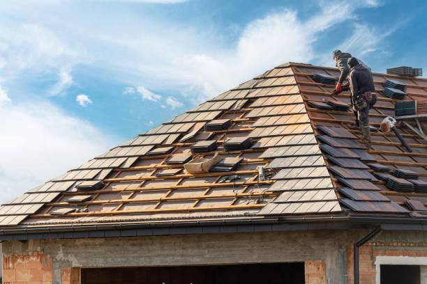 Professional Roofing services in Cold Spring, MN