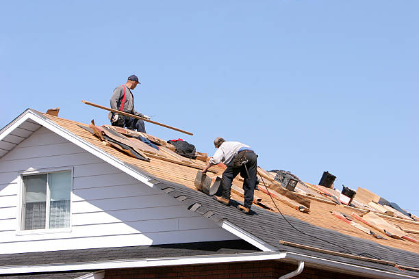 Best Roof Maintenance and Cleaning  in Cold Spring, MN