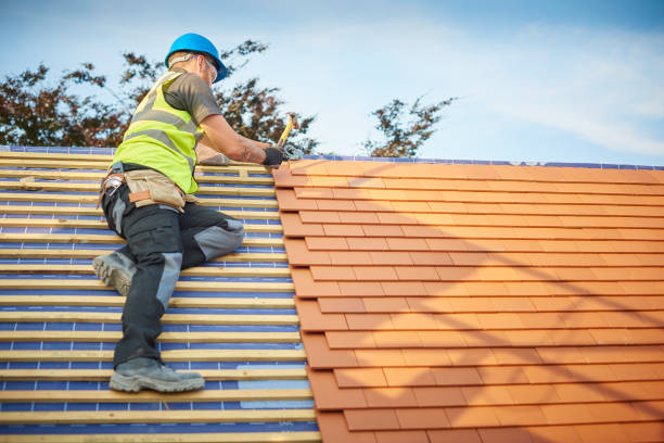 Best Rubber Roofing (EPDM, TPO)  in Cold Spring, MN